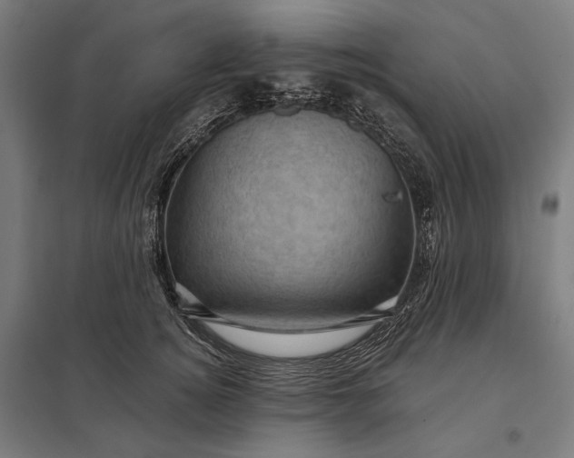 X0000097830756200803281200