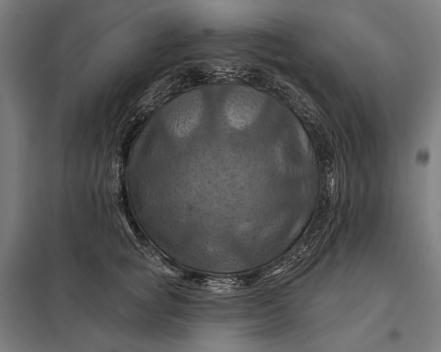 X0000097830757200803281200