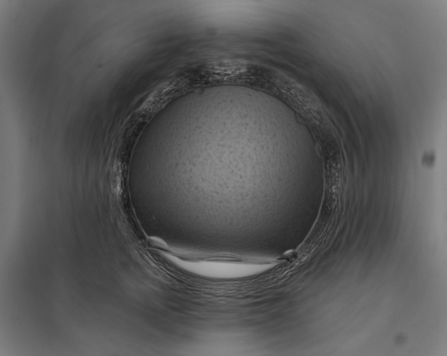 X0000097830758200803281200