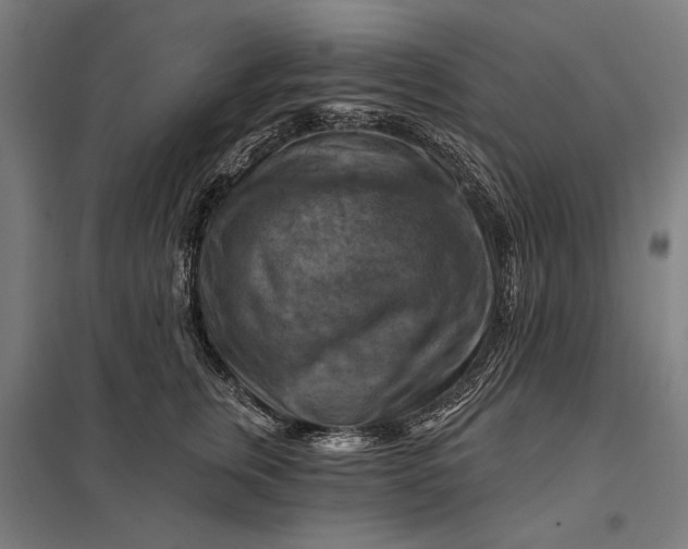 X0000097830759200803281200