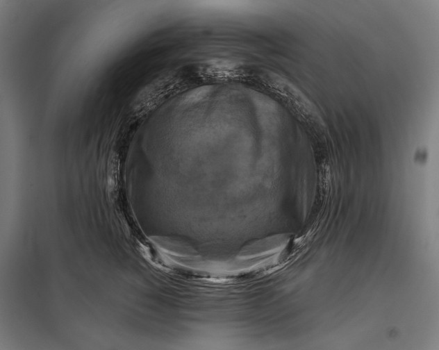 X0000097830760200803281200