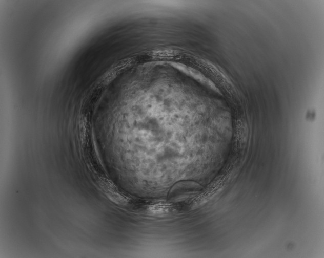 X0000097830761200803281200