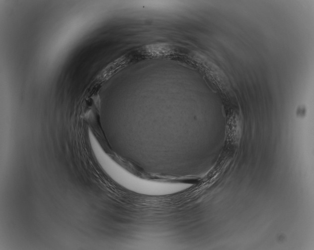 X0000097830762200803281200