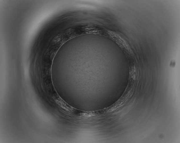 X0000097830763200803281200