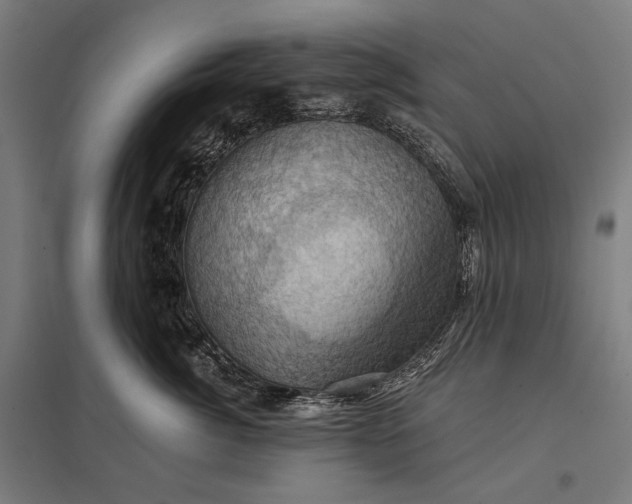 X0000097830764200803281200