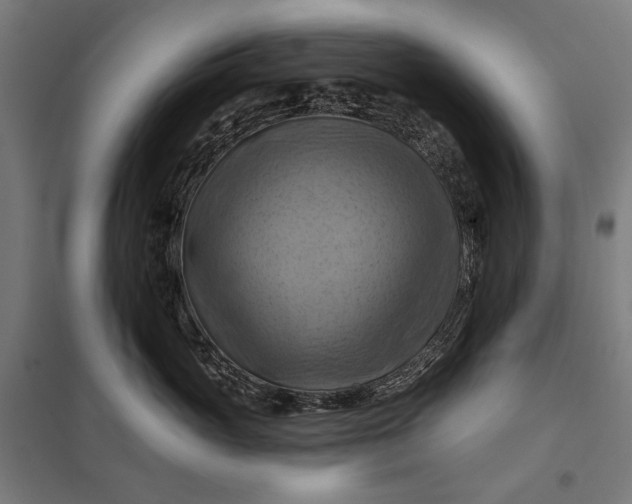 X0000097830765200803281200