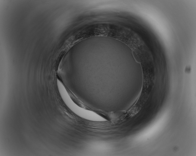 X0000097830766200803281200