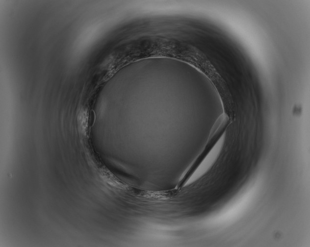 X0000097830767200803281200