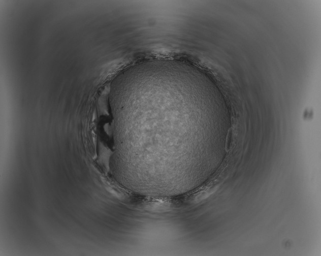 X0000097830768200803281200