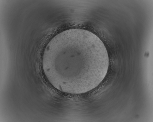 X0000097830769200803281159