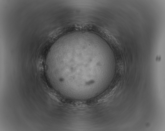 X0000097830770200803281159