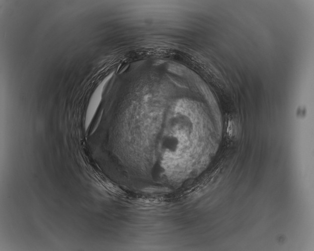 X0000097830771200803281159