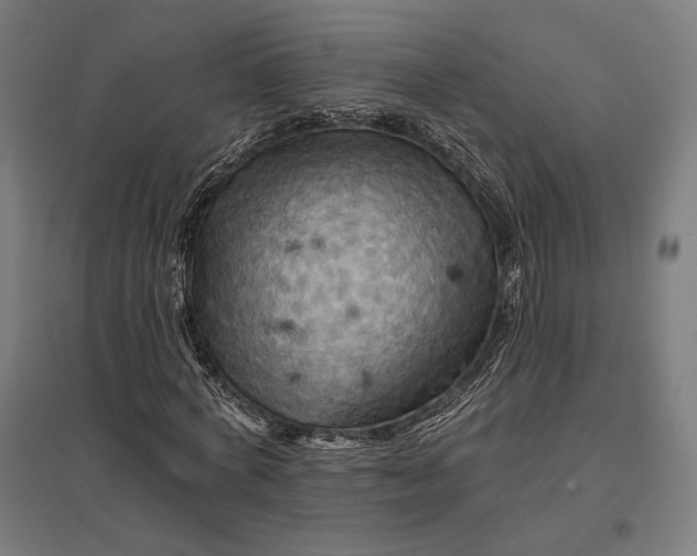 X0000097830772200803281159