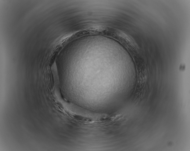 X0000097830773200803281159