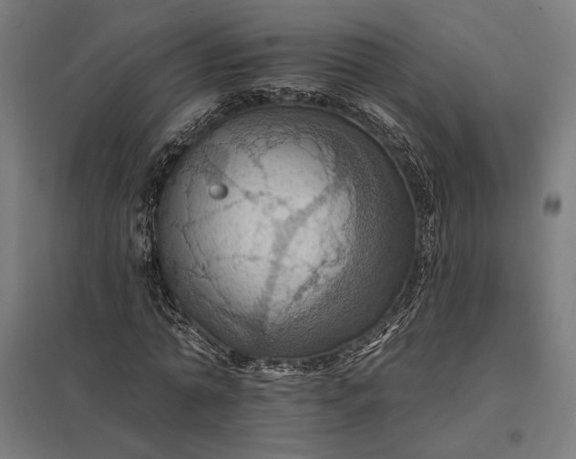 X0000097830774200803281159