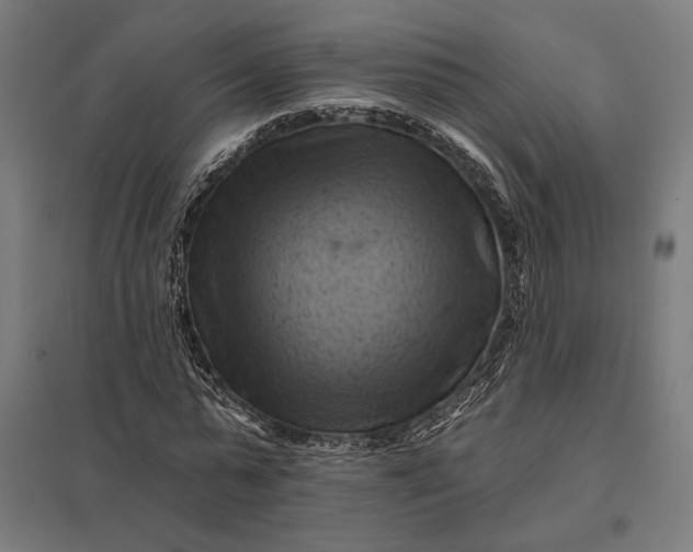 X0000097830775200803281159