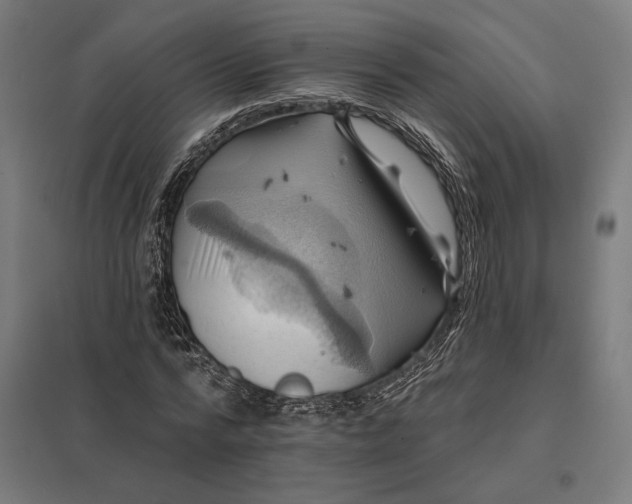 X0000097830776200803281159