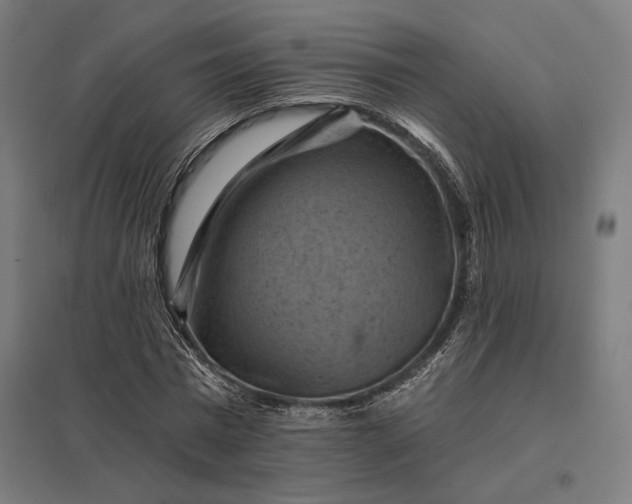 X0000097830777200803281159