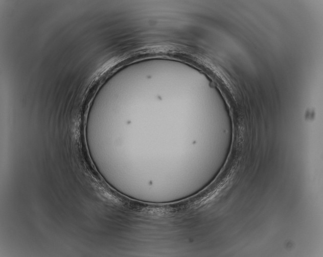 X0000097830778200803281159