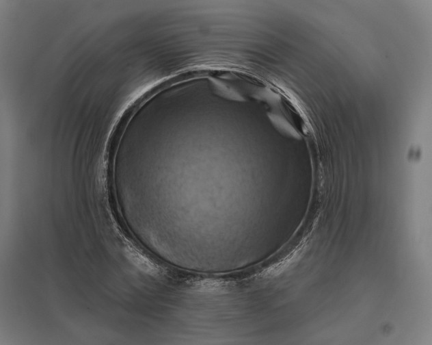 X0000097830779200803281159