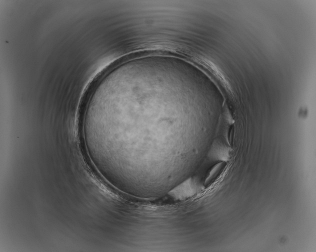 X0000097830780200803281159