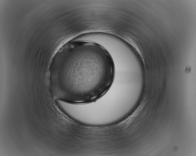 X0000097830781200803281159