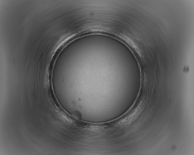 X0000097830782200803281159