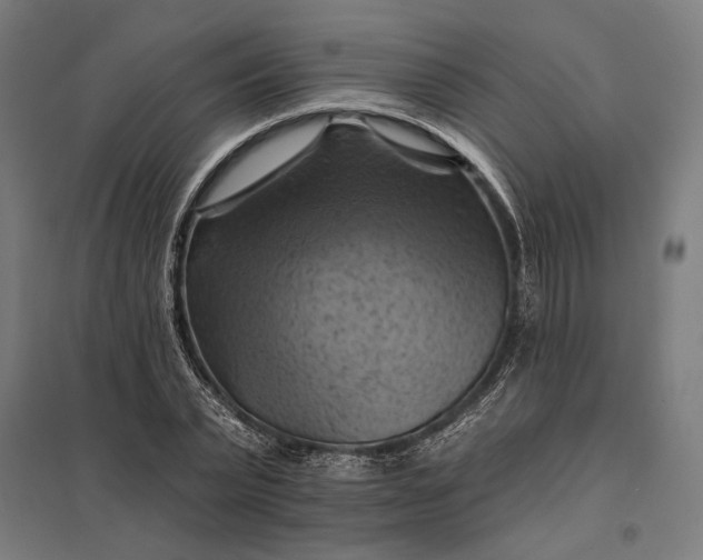 X0000097830783200803281159