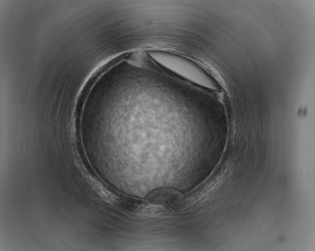 X0000097830784200803281159