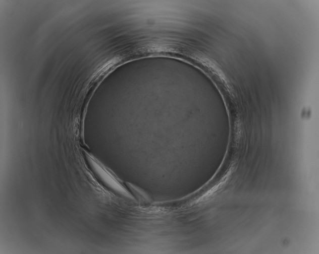 X0000097830785200803281159