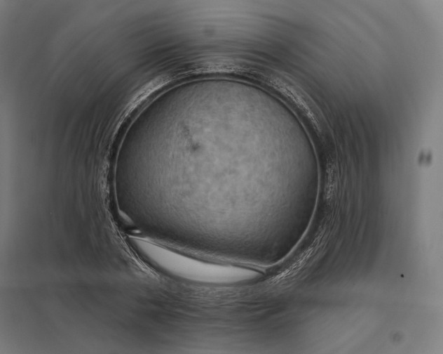 X0000097830786200803281159