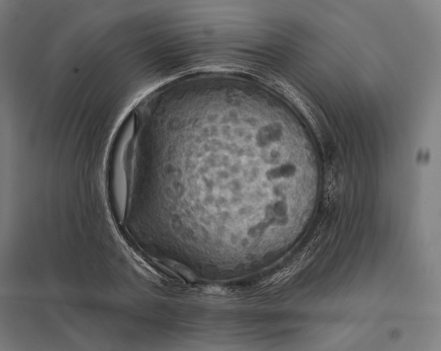 X0000097830787200803281159