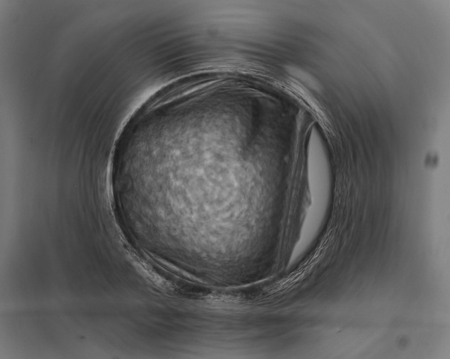 X0000097830788200803281159