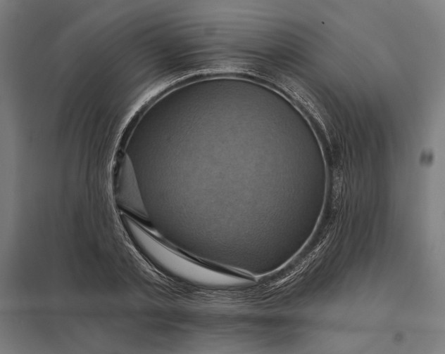 X0000097830789200803281159