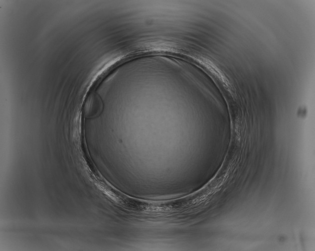 X0000097830790200803281159