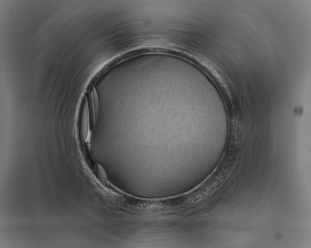 X0000097830791200803281159