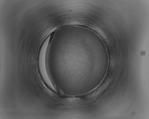 X0000097830793200803281159