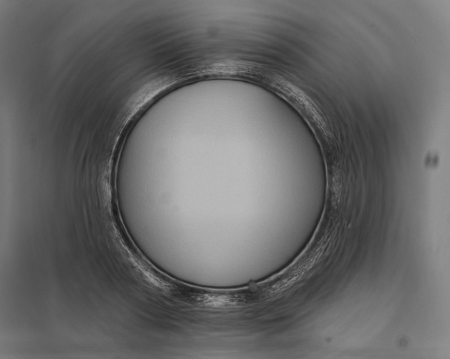 X0000097830794200803281159