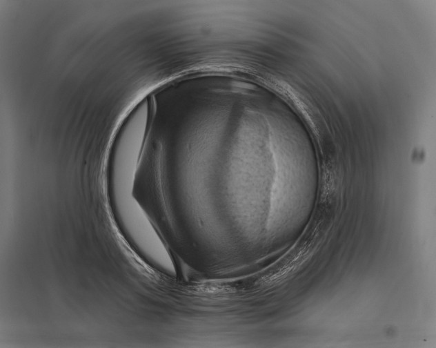 X0000097830795200803281159