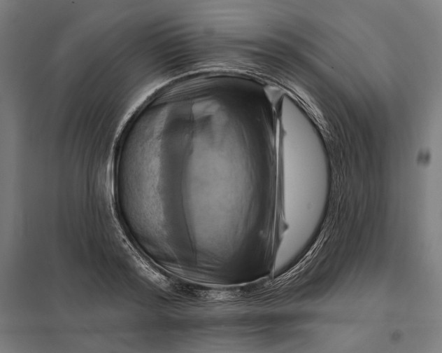 X0000097830796200803281159