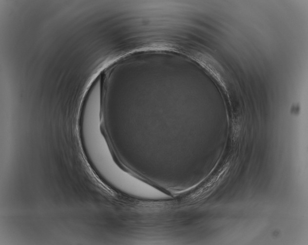 X0000097830797200803281159