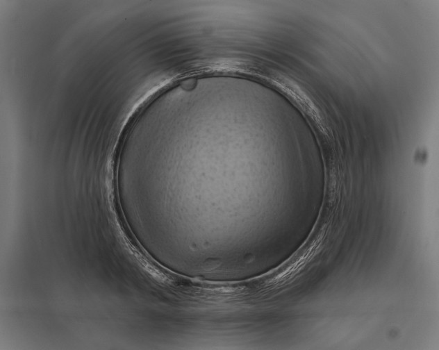 X0000097830798200803281159