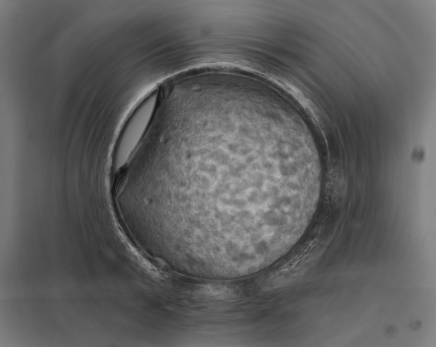 X0000097830799200803281159