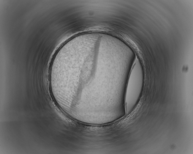 X0000097830800200803281159