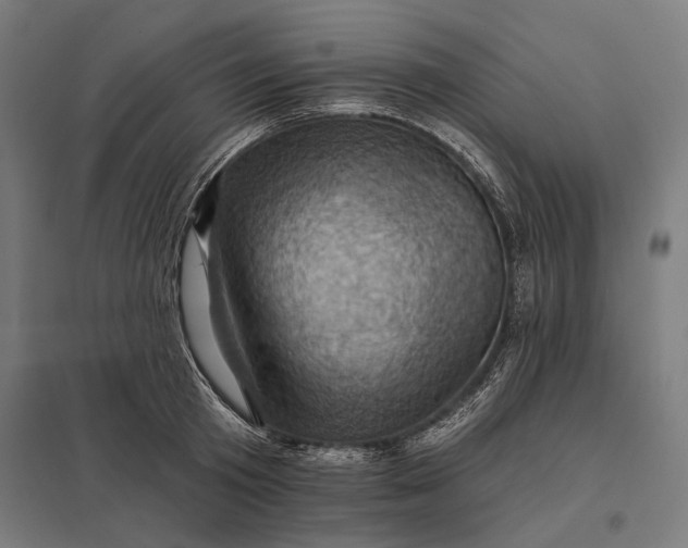 X0000097830801200803281159