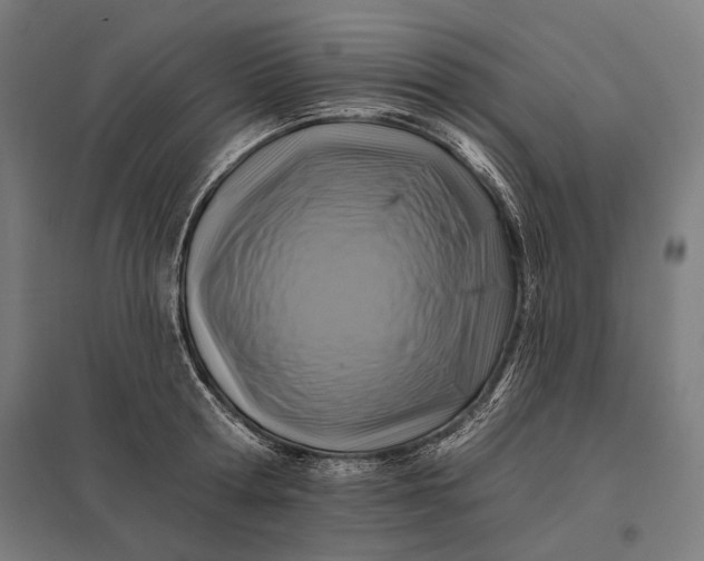 X0000097830802200803281159