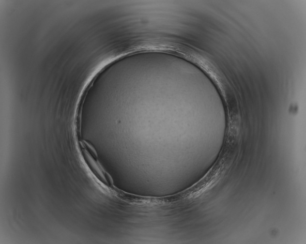 X0000097830803200803281159