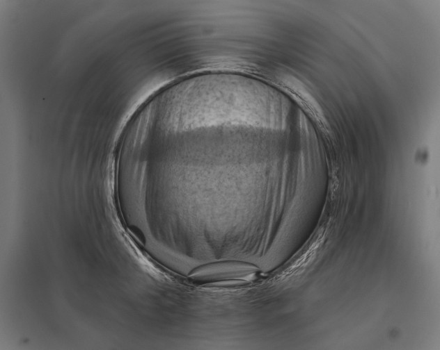 X0000097830804200803281159