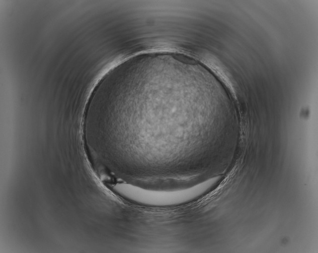 X0000097830805200803281159