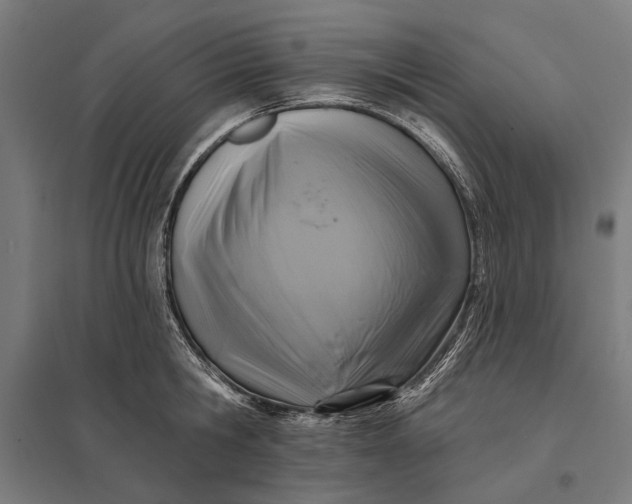 X0000097830806200803281159